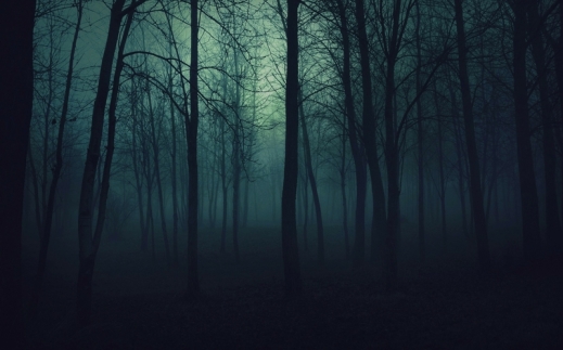 landscapes nature trees dark night forest photography fog 2801x1750 wallpaper_www.wallmay.com_38